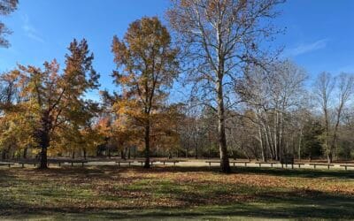 Outdoors at OxBow Park